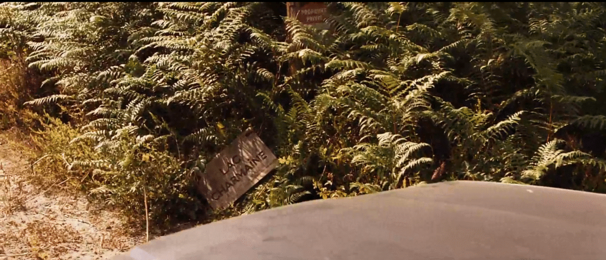 la fin de du film Ne le dit à personne expliqué