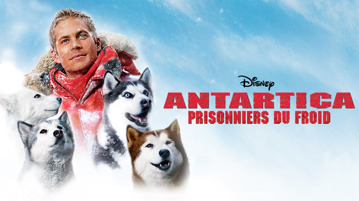 1.90.5 L3USK4GVHCMGWIDXENKEQTSQLY.0.1 0