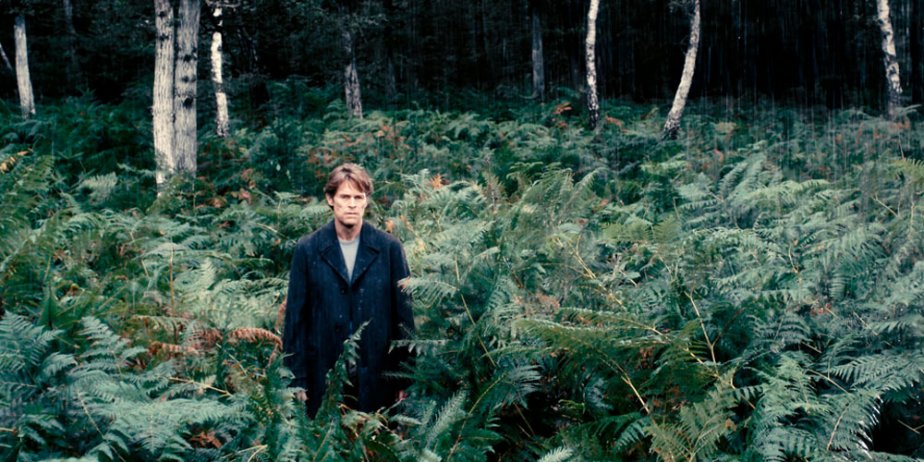 Comment interpréter la dernière scène dans la forêt