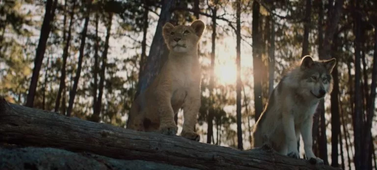 Que signifie la fin du film Le Loup et le Lion ? - Geekodrome: Boutique d'accessoires geek La fin du film est elle triste ou porteuse d’espoir