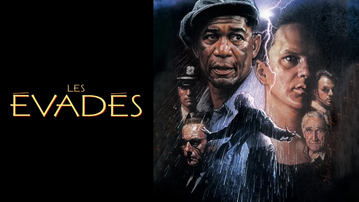 Quels sont les meilleurs films dont le titre commence par la lettre L ? - Geekodrome: Boutique d'accessoires geek Les Évadés